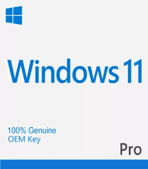 win11 OEM Windows 11 Pro License – OEM Key - Image 1